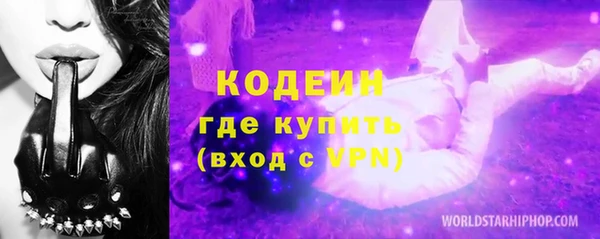 не бодяженный Заводоуковск
