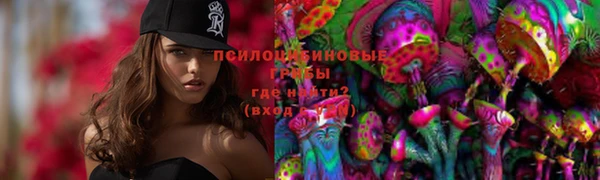 ALPHA-PVP Елизово